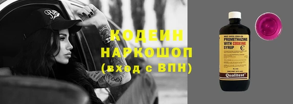дурь Осташков