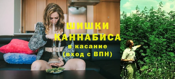 дурь Осташков