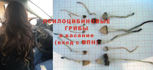 2c-b Осинники