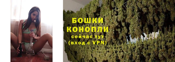 2c-b Осинники