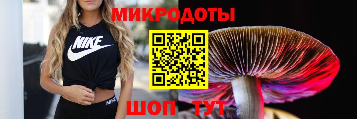 Лабинск  Псилоцибиновые грибы Psilocybe  Галлюциногенные грибы мухоморы  продажа наркотиков  Вход с VPN 